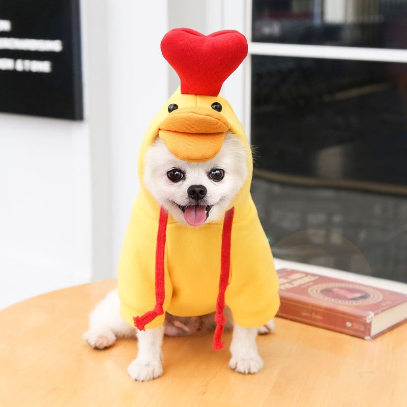 Cute Fruit Dog Clothes