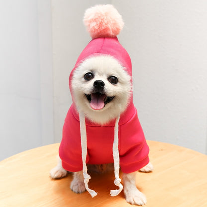 Cute Fruit Dog Clothes